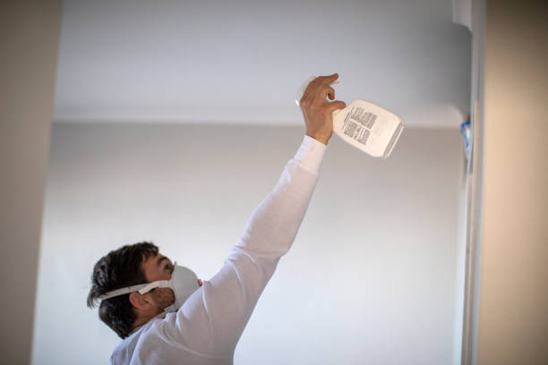 Professional Mold Removal in Austin, AR