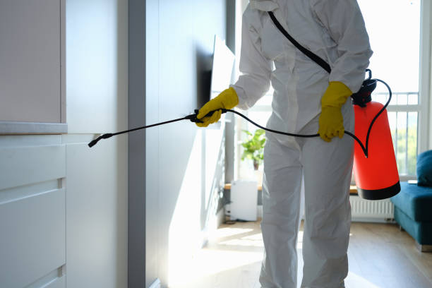 Home Mold Removal in Austin, AR