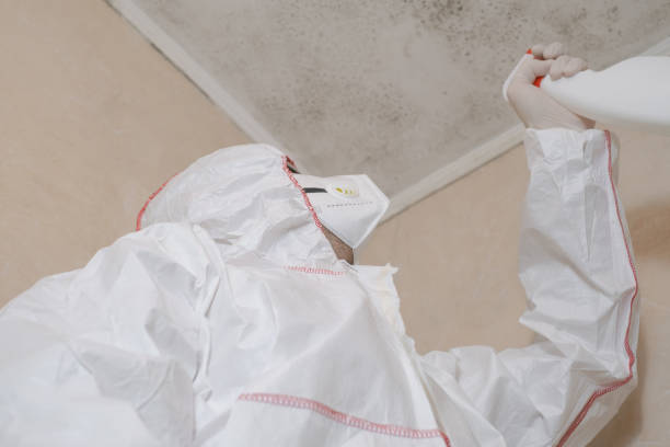 Best Certified Mold Removal  in Austin, AR